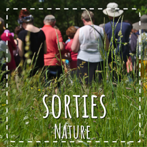 Les sorties nature