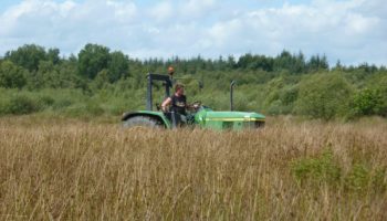 Exploitant MAEC sur prairie humide