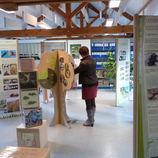 Exposition Faune de Orne en carton