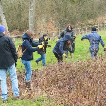 Formation Land Art avec les BPJEPS EEDD