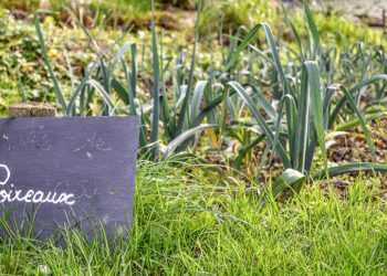 Jardin Au Naturel-BGillot