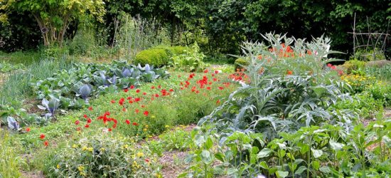 Jardin au naturel vue generale-BGillot