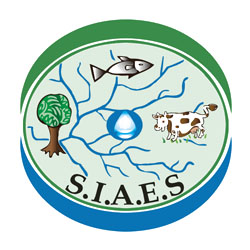 Logo SIAES 2013