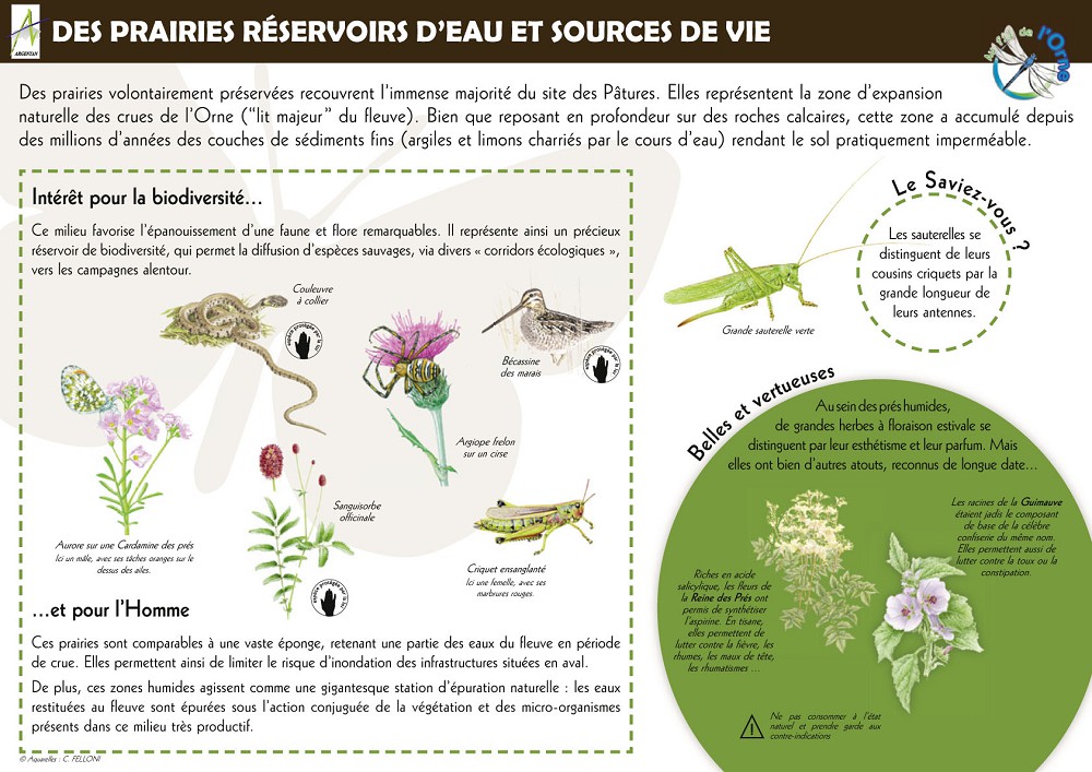 Panneau-Sentier-Pature-Argentan-prairies