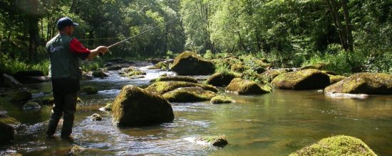 Peche sur les rivieres de Suisse normande