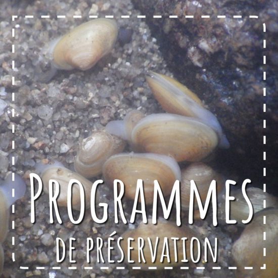 Programmes de préservation en Normandie