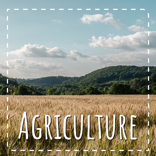 Agriculture et mesures agro-environnementales