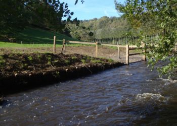 Restauration de berges dans l'Orne