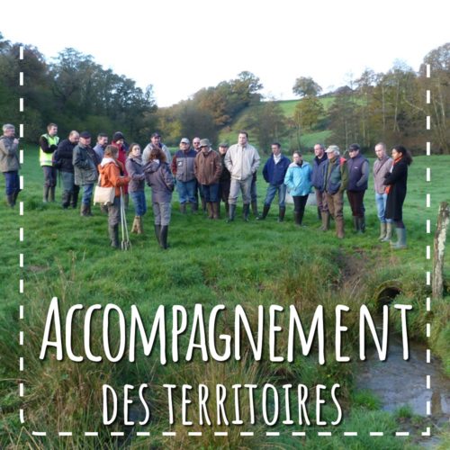 Accompagnement des territoires