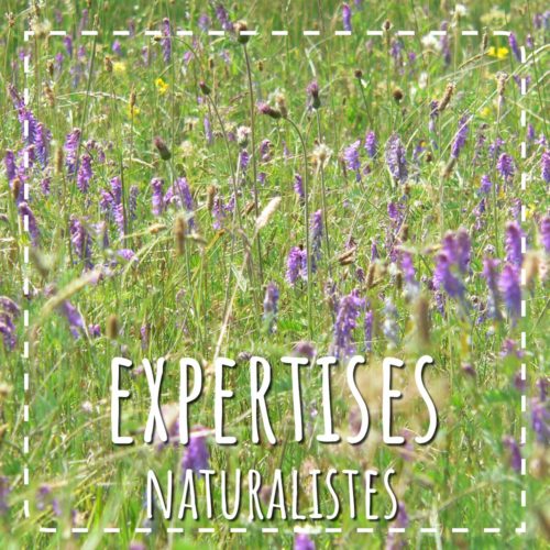 Expertises naturalistes