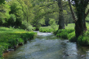 Sortie nature Souleuvre
