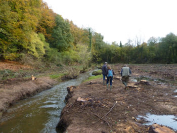 coupe-des-epicea-sur-le-site-natura-2000