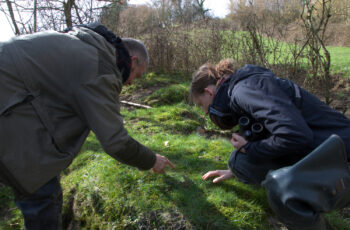 Devenez observateur de la Loutre sur la Druance