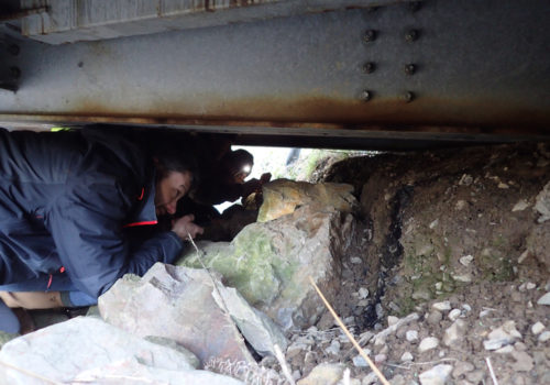 Formation-observateurs-de-la-loutre-sur le terrain