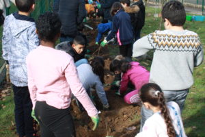 Plantation de haies avec Aux haies citoyens