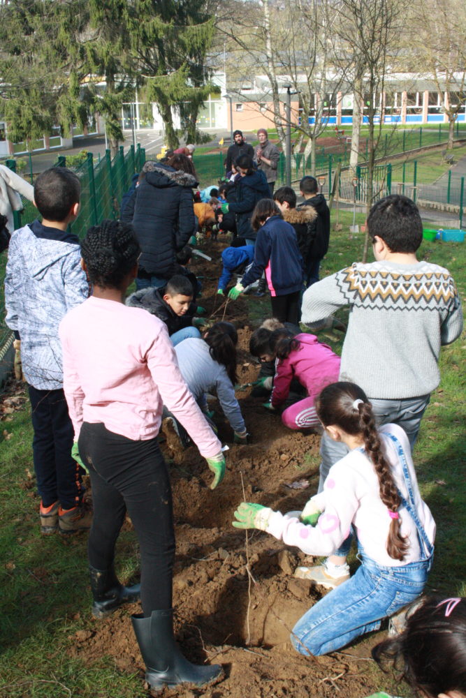 Plantation de haies avec Aux haies citoyens