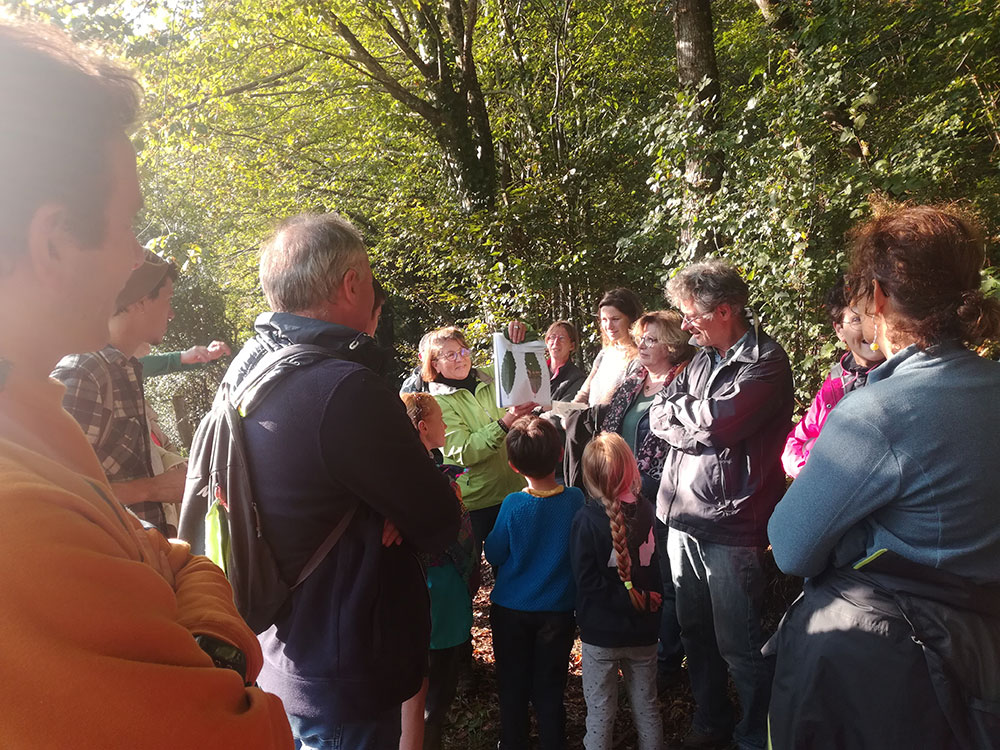 Aux haies citoyens reconnaître les feuilles d'arbres