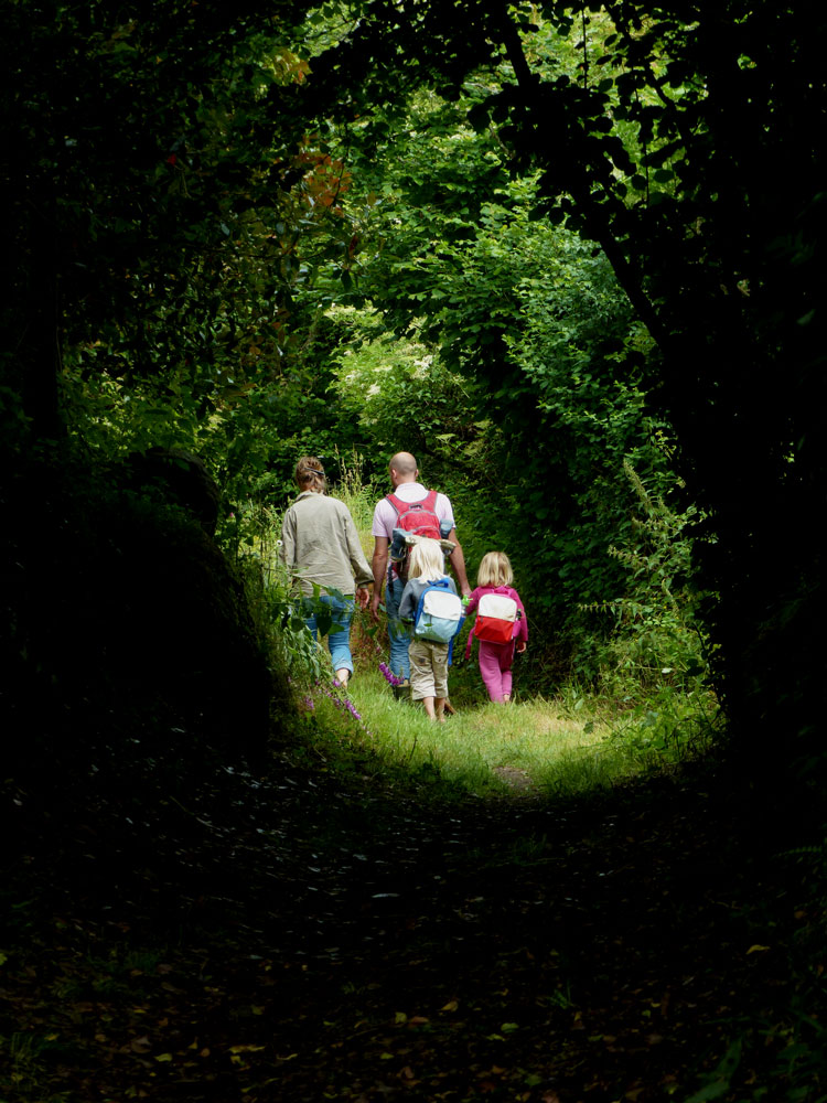 Rallye Nature famille dans un chemin