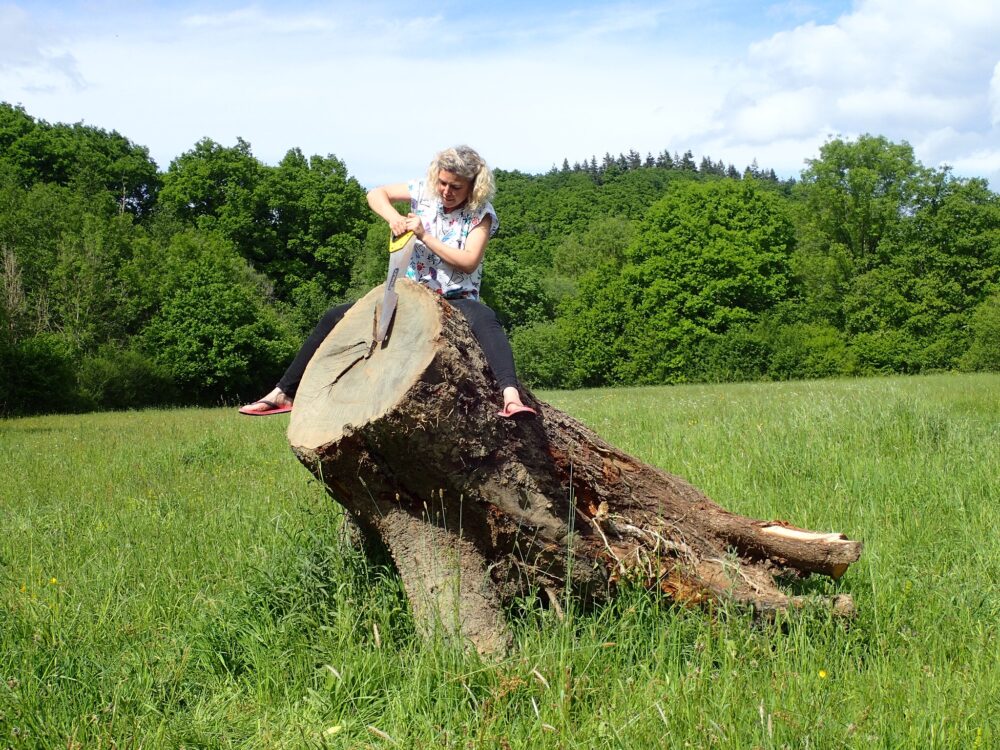 Nature sous un autre angle : l’inauguration le 2 juillet