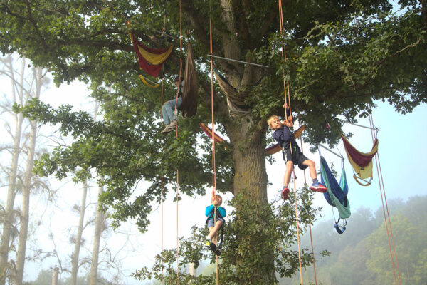 Des enfants testent le grimp'arbres