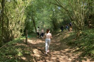 Le bois de la Maison du Paysage en été