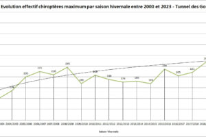 graphique de l'évolution des populations de chauves-souris au tunnel des Gouttes