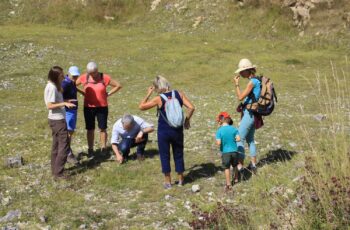 Carriere-des-monts-et-sablonnettes-gentiane-2-1