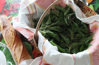 Plantes-utilitaires-et-comestibles