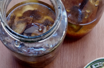 lactofermentation