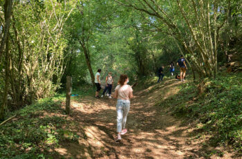 promenons-nous-dans-les-bois