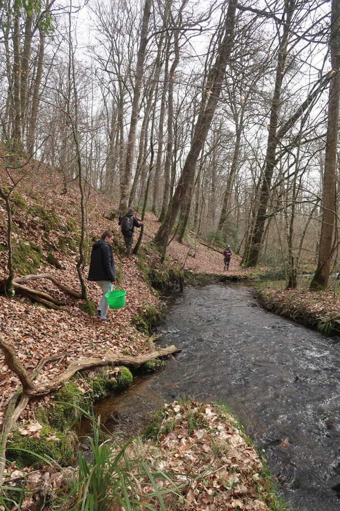 PNA-MUL - pêche de recherche d_enkystement - 1