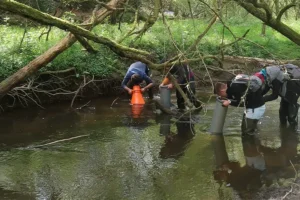 Les prospections sur le cours d’eau se font de l’aval vers l’amont, en ligne, et à l’aide d’aquascopes, permettant de voir le fond du cours d’eau.