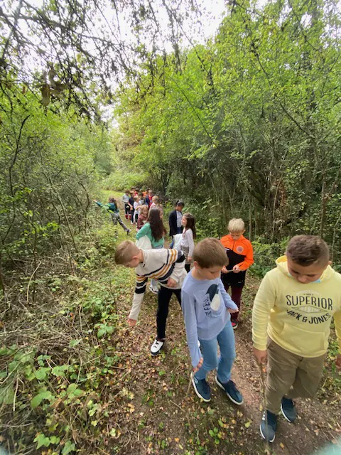 ATE Argentan web Les élèves d'Argentan ont travaillé dans un bois
