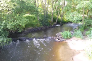 La Rouvre vue du pont à la Maison de la Rivière