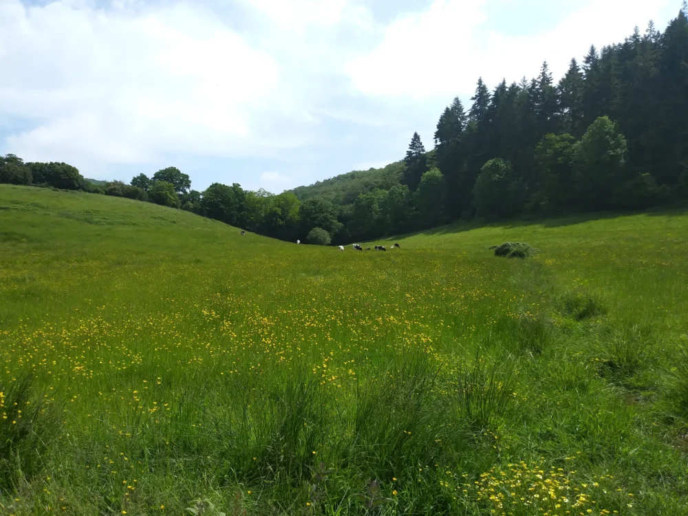 Des agriculteurs engagés