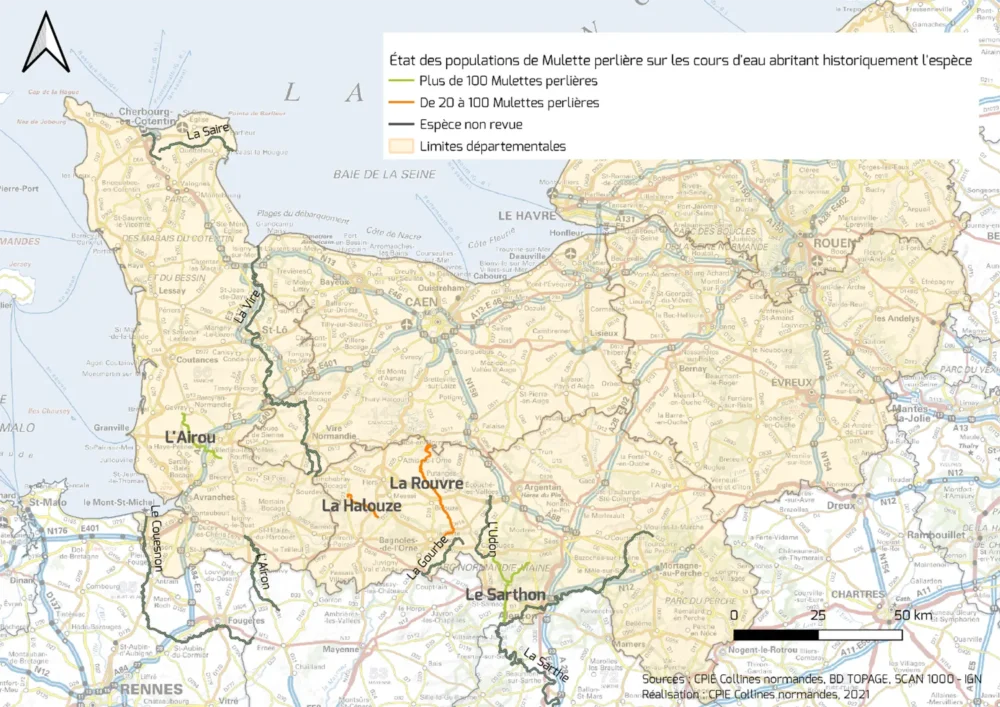 De nouvelles pistes de recherche sur la mulette perlière en Normandie
