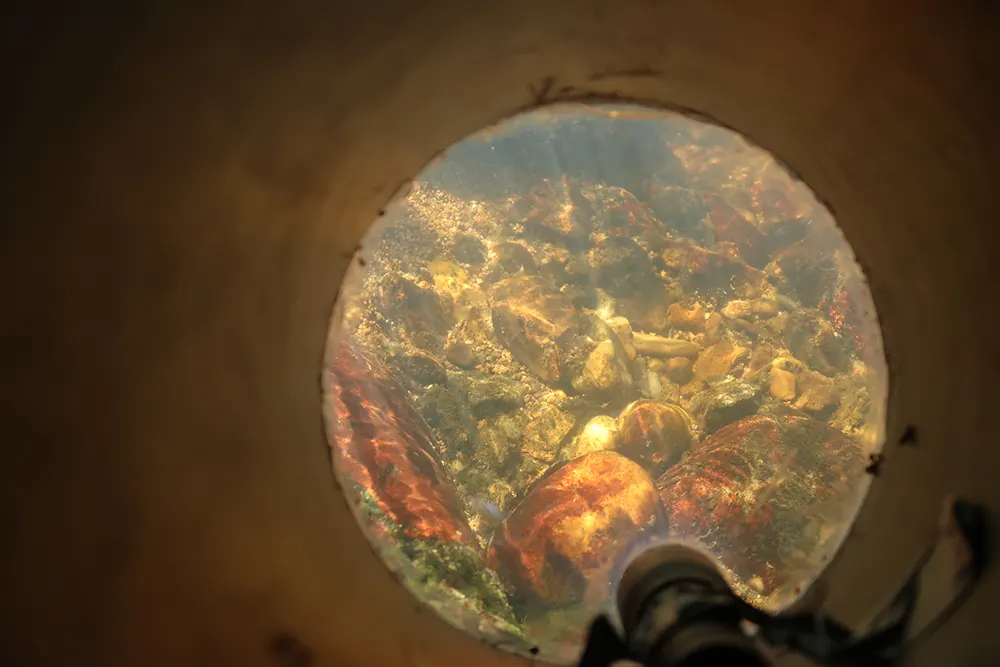 Vue du fond du cours d’eau depuis l’aquascope. Une lampe torche est installée contre la plaque afin de faciliter la recherche des mulettes.