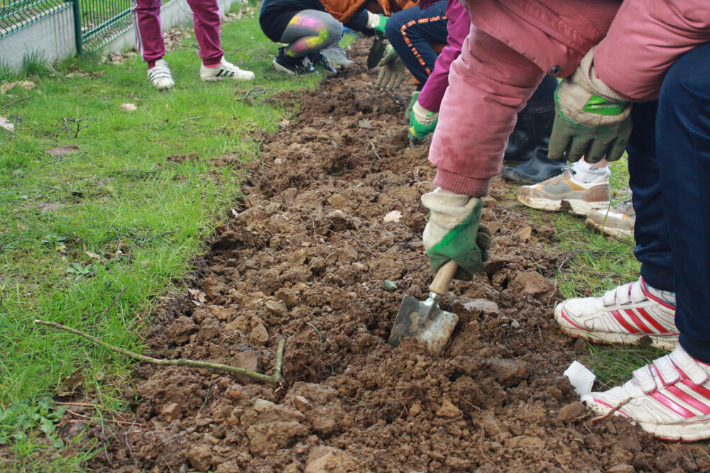 Comment ai-je conçu mon jardin et que puis-je faire pour le préserver en l'adaptant au changement climatique ? Le CPIE vous propose un atelier d’échanges d'expériences et de bonnes idées pour réussir ensemble ce challenge.