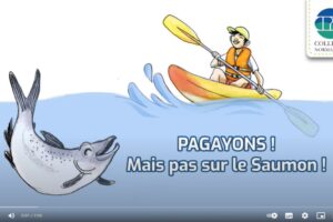 Pagayons! Mais pas sur le saumon !