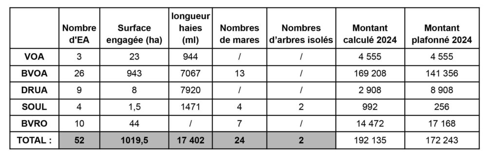 tableau bilan MAECS 2024-1