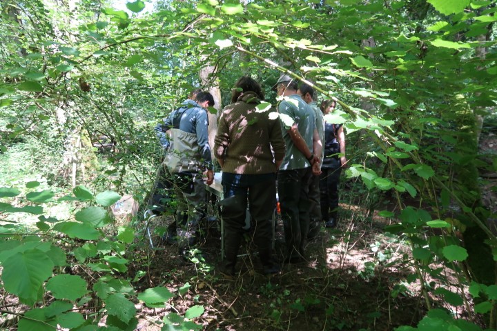 3-Groupe technique PNA élevage, renforcement, réintroduction (Petit) Photo 3 : dans le cadre du PNA mulette perlière, un groupe technique spécifique aux questions d’élevage, de renforcement et de réintroduction de l’espèce a vu le jour. Il rassemble des collègues de différentes régions, concernés par le sujet. Fin août le groupe technique s’est réuni pour la troisième fois, et cette fois-ci, en Normandie ! C’est sur les berges du Sarthon, accompagné de l’animatrice du site Natura 2000, qu’une dizaine de participants des différents coins de la France ont pu échanger ! Merci à eux pour leur participation et pour les riches échanges.