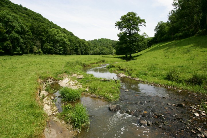 Du neuf pour Natura