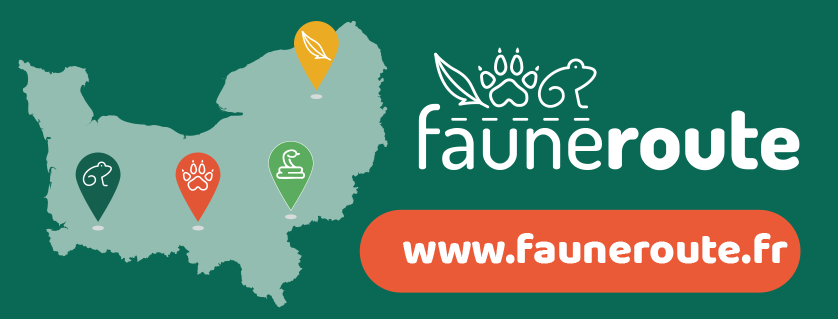 Logo faune route Normandie, www.fauneroute.fr