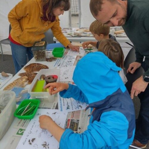 Fete_de_la_nature_2025 (1) (Petit)