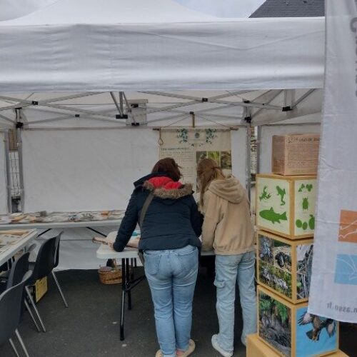Fete_de_la_nature_2025 (3) (Petit)