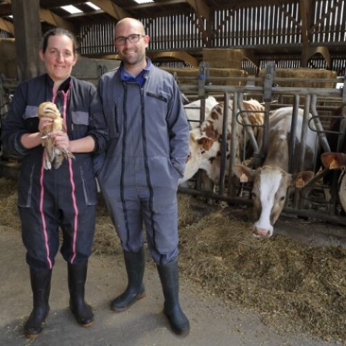 M. et Mme Lengline_Christophe Perelle (Petit)