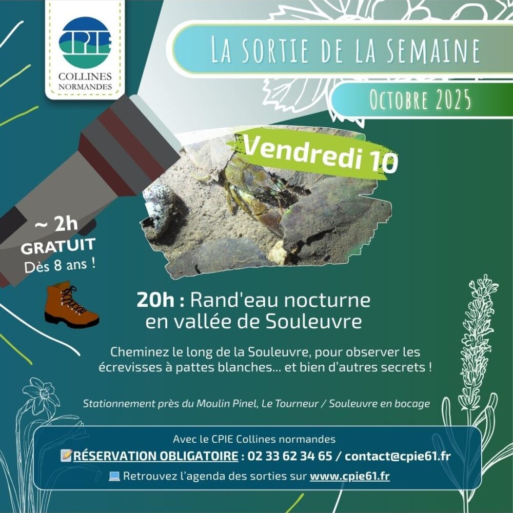 Copie de POSTS Réseaux sociaux nouveau format - sorties de l'été 2 affiche de la sortie nature