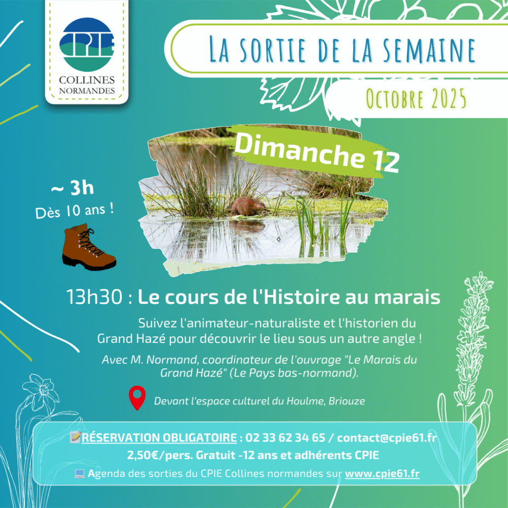 12-10 affiche de la sortie nature