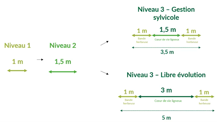 schéma-labal1