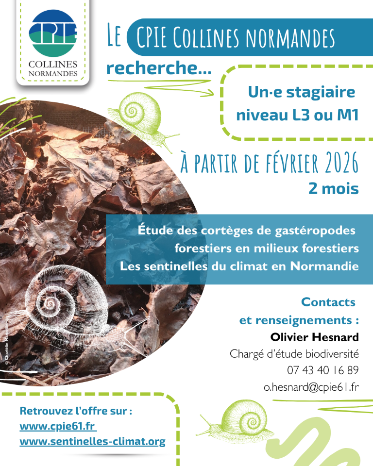 Le CPIE Collines normandes recherche un·e stagiaire niveau L3 ou M1 à partir de février 2026. 2 mois. Étude des cortèges de gastéropodes forestiers en milieux forestiers. Les sentinelles du climat en Normandie. Contacts et renseignements : Olivier Hesnard. Chargé d'étude biodiversité. 0743401689. o.hesnard@cpie61.fr Retrouvez l'offre sur www.cpie61.fr www.sentinelles-climat.org